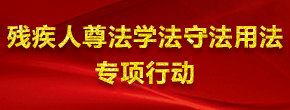 殘疾人尊法學法守法用法專項行動 